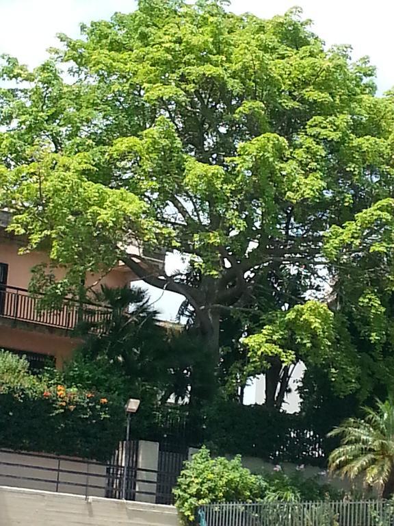 Porto Ulisse Bed & Breakfast Catania Bagian luar foto